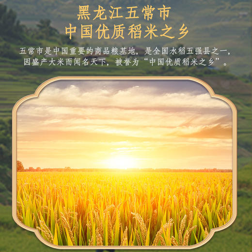 五常稻香米(5袋10斤) 商品图5
