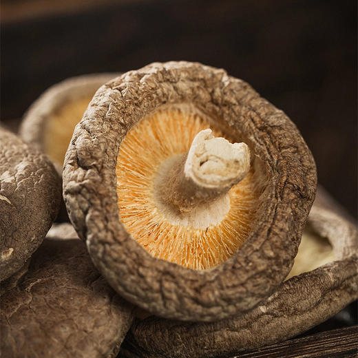 福建香菇干货 无熏硫 农家特产 剪脚肉厚干香茹食材 商品图3