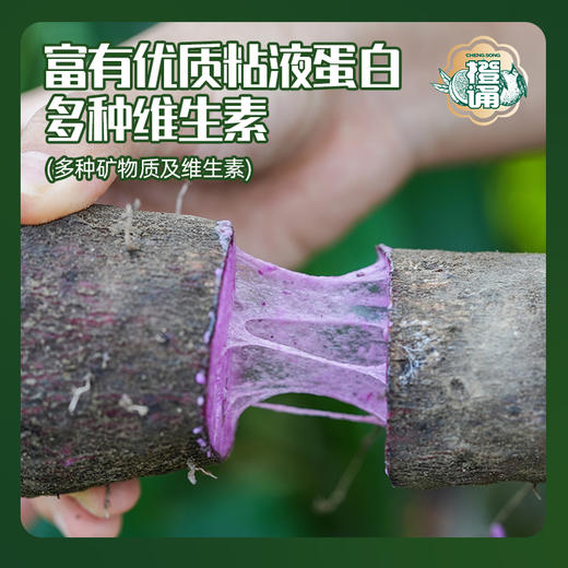 橙诵赣南紫山药  现挖现发 软糯美味  营养丰富 商品图5