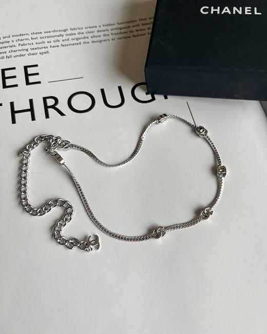 THS 8.24-无 香家 长短款双C蛇骨链颈链 项链 CU1234 商品图6