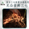 苗乡三七 三七原浆饮30ml*8瓶植物饮料三七须根 无公害三七鲜三七须根 商品缩略图1