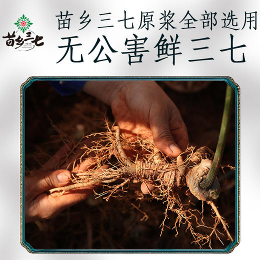 苗乡三七 三七原浆饮30ml*8瓶植物饮料三七须根 无公害三七鲜三七须根 商品图1
