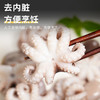 小章鱼｜新鲜八爪鱼 300g/袋 鲜活冷冻小章鱼迷 你短腿八爪鱼【不花心】 商品缩略图4