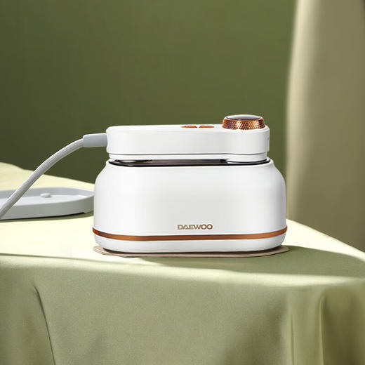 蒸汽电熨斗DYGT-1320 流苏白(彩邮外) 商品图0