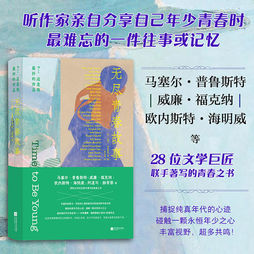 这是我最好的作品：无尽青春故事 商品图1