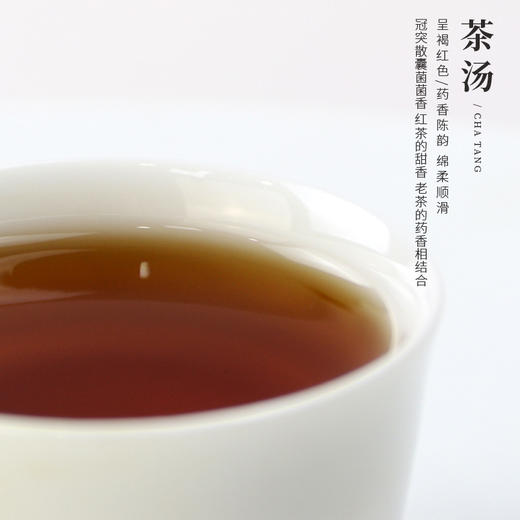 元正骏眉红茶茶叶金花红茶冠突散囊菌红茶中粮营养研究院研发罐装 商品图3