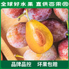 PAGODA百果园  新疆法兰西西梅3斤彩箱装（单果重：20g+） 商品缩略图4