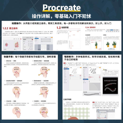 *基础学Procreate 十大风格插画绘制技巧 procreate插画教程*基础入门自学 商业插画师学习 配视频课笔刷 商品图2