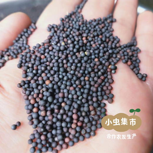 牧云坡生态花椒油 100ml /249ml I 来自四川阿坝小金县，生产者：牧云坡可信小组 ＆【公平贸易农人定价】 商品图9