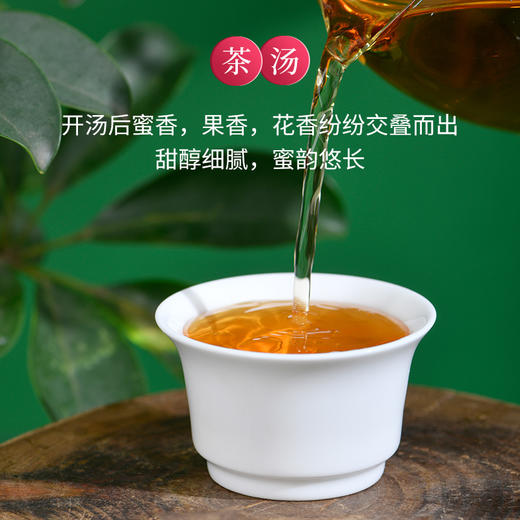 元正国家森林公园系列·孔雀红130g 商品图3