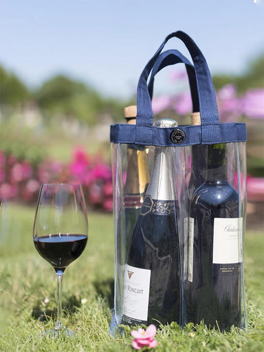 法国L'Atelier du Vin透明PVC便携葡萄酒冰酒袋 户外快速降温冰桶 商品图3