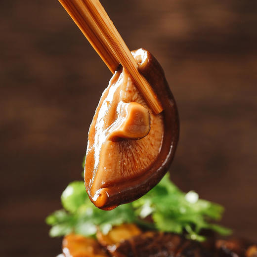 福建香菇干货 无熏硫 农家特产 剪脚肉厚干香茹食材 商品图4