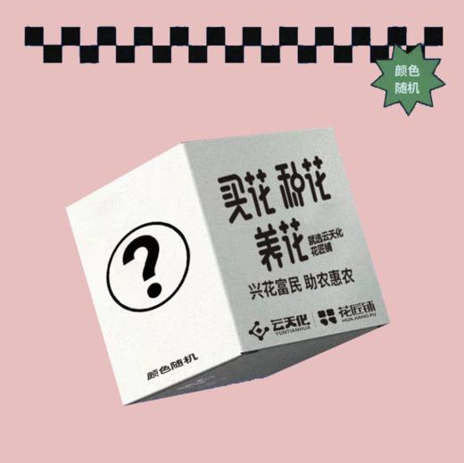 助农、惠农第二期——助农新品盲盒（不包邮，邮费：德邦51元/或指定物流，介意慎拍） 商品图0