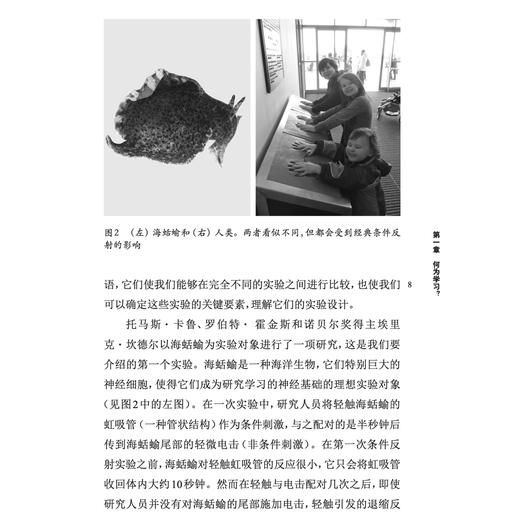 《牛津通识读本：学习》 商品图10