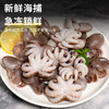 小章鱼｜新鲜八爪鱼 300g/袋 鲜活冷冻小章鱼迷 你短腿八爪鱼【不花心】 商品缩略图2
