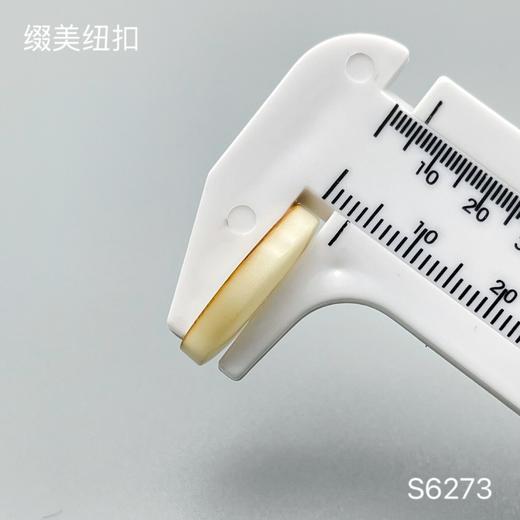 S6273(整包购买) 商品图3