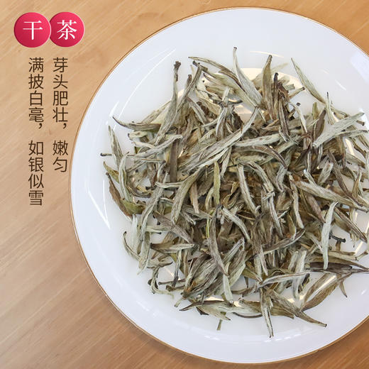 【限量收藏】元正福建福鼎白茶五虎上将陈年白毫银针福鼎白茶送礼300g 商品图2