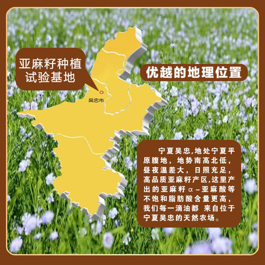 杞冠严选 | 君星坊 有机亚麻籽酱 280g/罐 坚果风味 商品图1