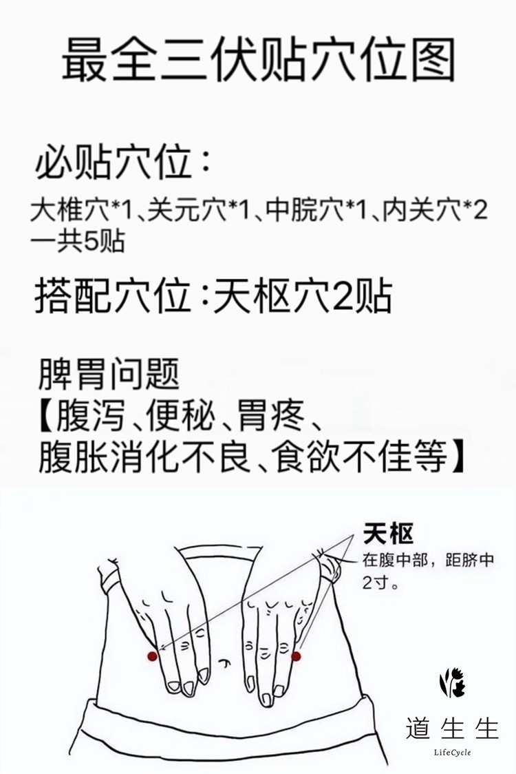 蕲艾三伏贴 成人儿童可用
