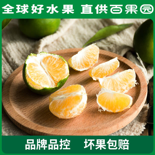 PAGODA百果园 云南蜜桔（大）5斤家庭装（单果径：≥65mm） 商品图3