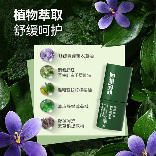 【ZY25】森林地带蚊虫叮咬紫草膏舒缓消包6g 商品图3