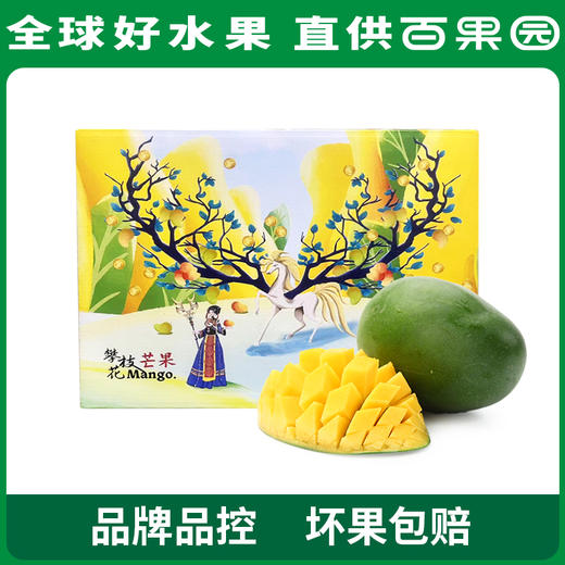 PAGODA百果园 凯特芒果8斤礼盒装（单果重：≥600g） 商品图5