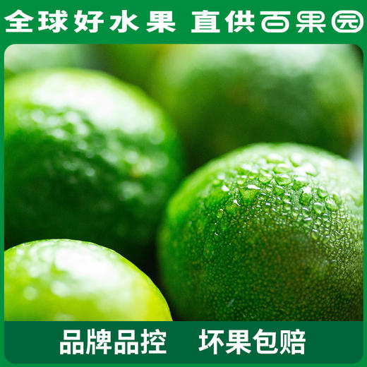 PAGODA百果园 云南蜜桔（大）5斤家庭装（单果径：≥65mm） 商品图4