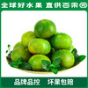 PAGODA百果园 云南蜜桔（大）5斤家庭装（单果径：≥65mm） 商品缩略图0