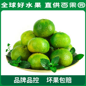 PAGODA百果园 云南蜜桔3斤家庭装（单果径：≥50mm）