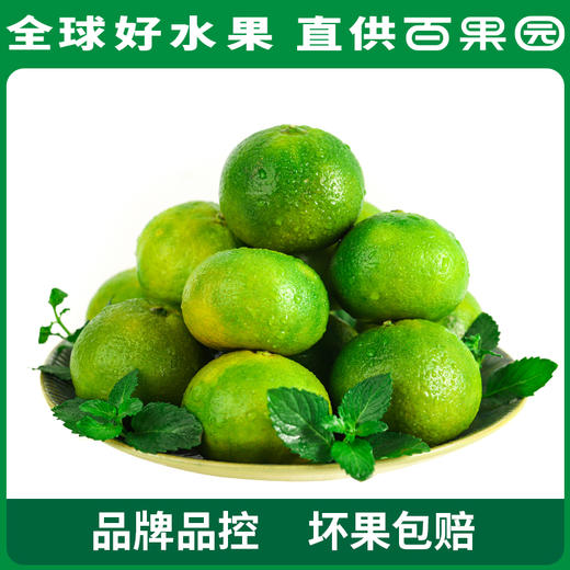 PAGODA百果园 云南蜜桔（大）5斤家庭装（单果径：≥65mm） 商品图0