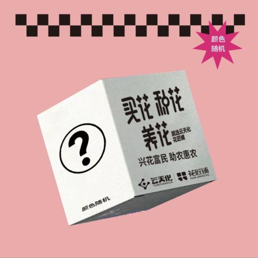 助农、惠农第二期——助农新品盲盒（不包邮，邮费：德邦51元/或指定物流，介意慎拍） 商品图1