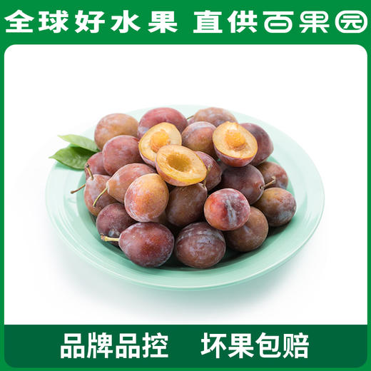 PAGODA百果园  新疆法兰西西梅3斤彩箱装（单果重：20g+） 商品图1
