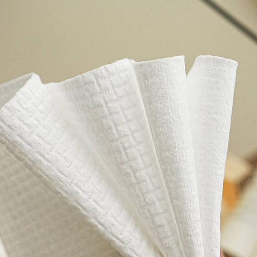 国际一线代工 一次性抽取式加厚干湿两用绵柔洗脸巾（1组3包） 商品图1