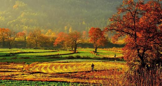 徽州古韵金秋丨婺源、石城、篁岭、宏村、石潭、塔川6天摄影团 商品图12