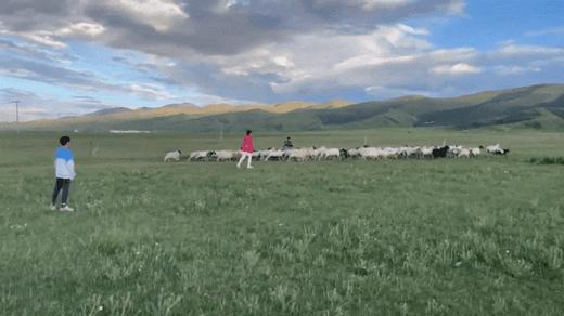 五一/暑假【定金】抢首发早鸟立减1000！【2026青海湖房车奇遇记】6天5夜，一家一房车，湖畔星空露营×环湖探秘，喂湟鱼、追日落、打卡茶卡盐湖……全程旅拍 商品图13