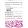 医学细胞生物学与遗传学实验指导 第2版 配套教材 配增值 普通光学显微镜的构造和使用  马萍 方玲 人民卫生出版社9787117366625 商品缩略图4