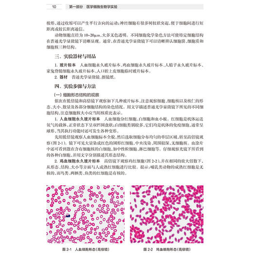 医学细胞生物学与遗传学实验指导 第2版 配套教材 配增值 普通光学显微镜的构造和使用  马萍 方玲 人民卫生出版社9787117366625 商品图4