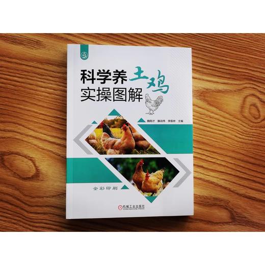 官网 科学养土鸡实操图解 魏刚才 提高养殖效益 土鸡饲养管理日粮配制 土鸡养殖技术书籍 商品图1