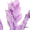 永生花材 | 桔叶紫色 商品缩略图0