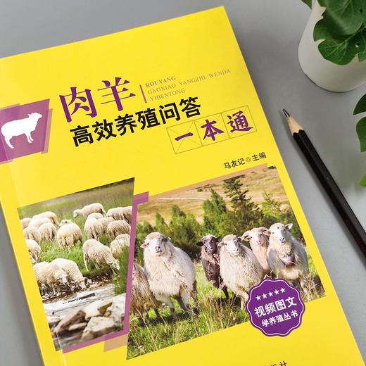 肉羊高效养殖问答一本通（视频图文学养殖） 商品图2