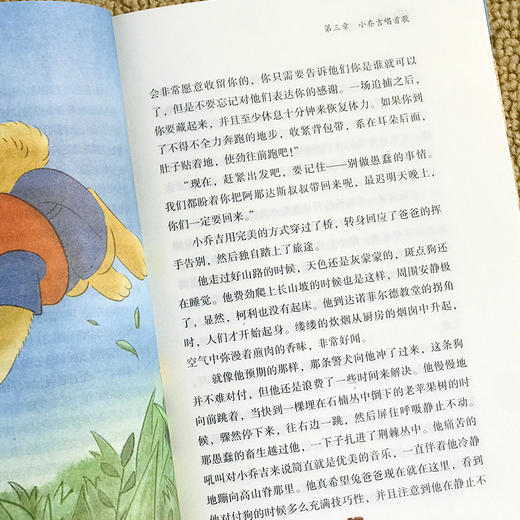 《纽伯瑞儿童文学名著》 礼盒装全套10册 商品图3