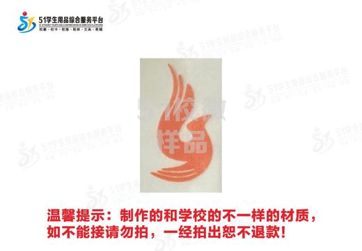 通版定制宝安第一外国语学校（集团）熨烫校徽姓名布贴现货现发51 商品图4