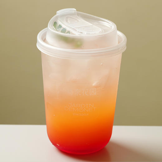 橙子石榴 商品图1