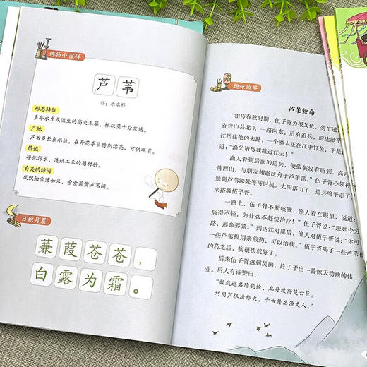 这才是孩子爱看的诗经（全6册） 商品图2