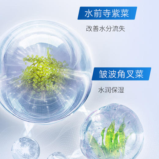 伊贝诗深海凝萃弹润爽肤水 乳液 补水保湿 商品图5