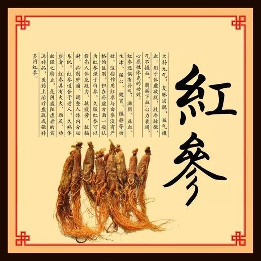 福林堂红参阿胶膏植物饮品（10g*10袋）/盒 &人参玉灵膏 （10g*10条）/盒 商品图4