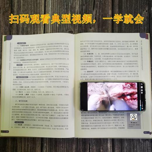 官网 猪病鉴别诊断图谱与安全用药 铂金视频版 刘建柱 牛绪东 养猪技术大全 猪病诊治图谱大全 兽医畜牧 养猪书籍 商品图4