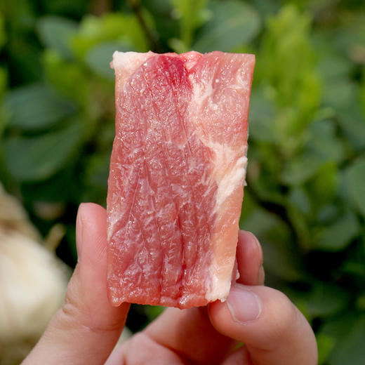 【3份包邮】安心猪纯肋排  无抗慢养 新鲜猪肋排中段 急冻锁鲜  切段猪排骨1斤 商品图2