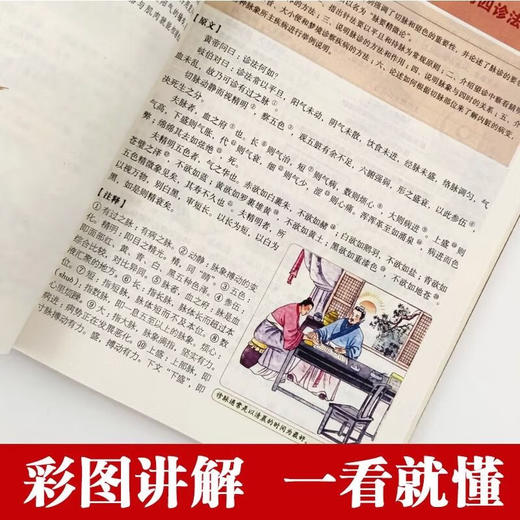 彩图精解一看就懂:黄帝内经 商品图3