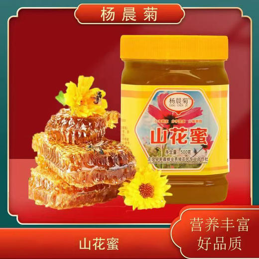 农家蜂蜜   土蜂蜜   洋槐蜜   山花蜜 商品图3